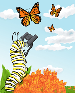 Spring Migration Monarch