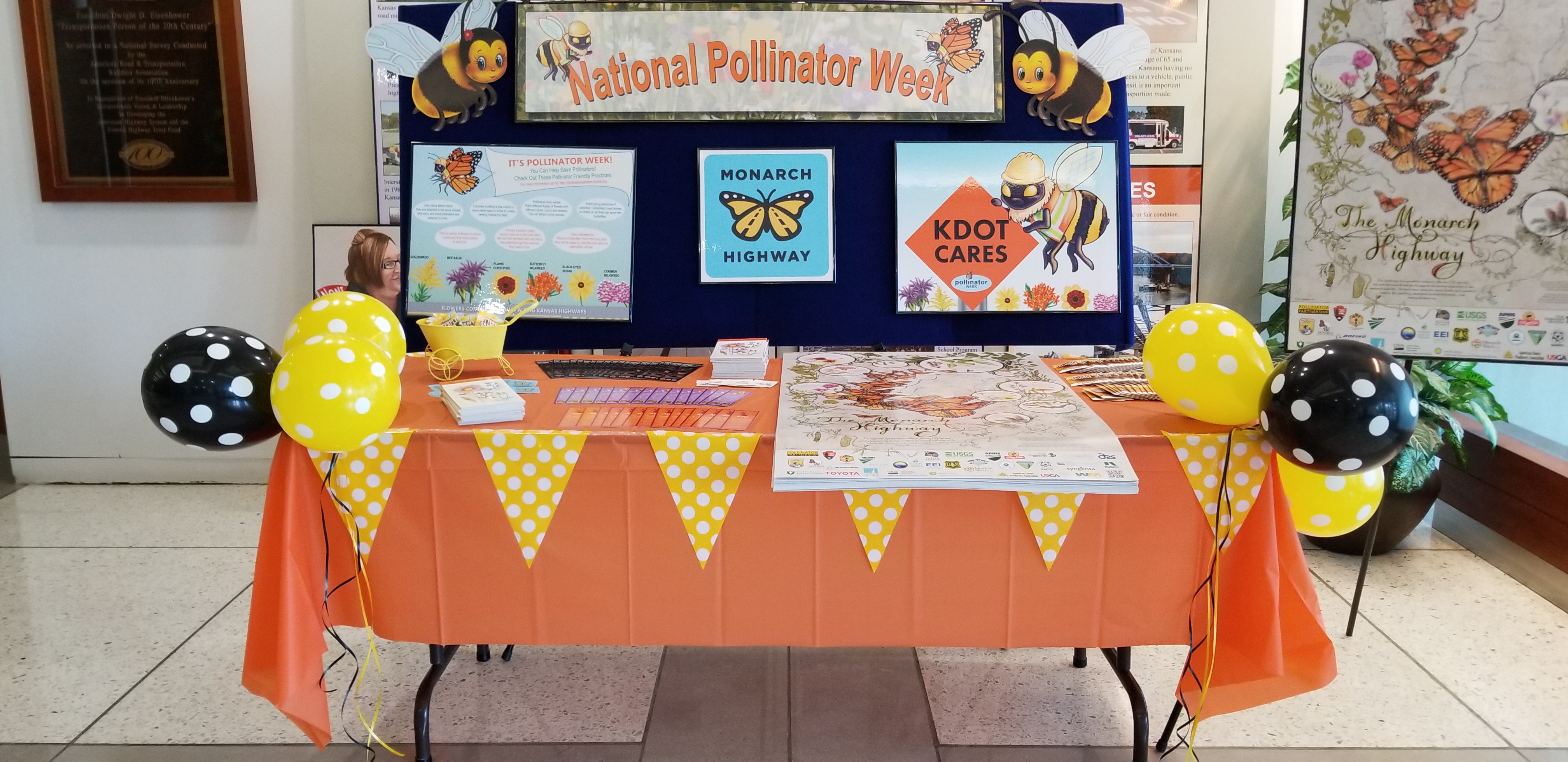 KDOT Celebrates National Pollinator Week in June